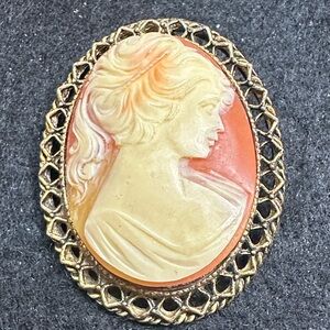 244- Cameo Vintage Style Cream and Coral Brooch 2”